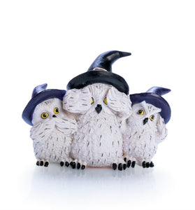 3 Wise Snowy Owls
